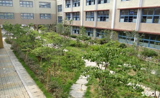 친자연적인 학교숲 조성 우수모델 11개교 선정