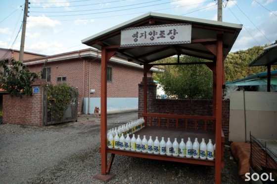 6영지양조장