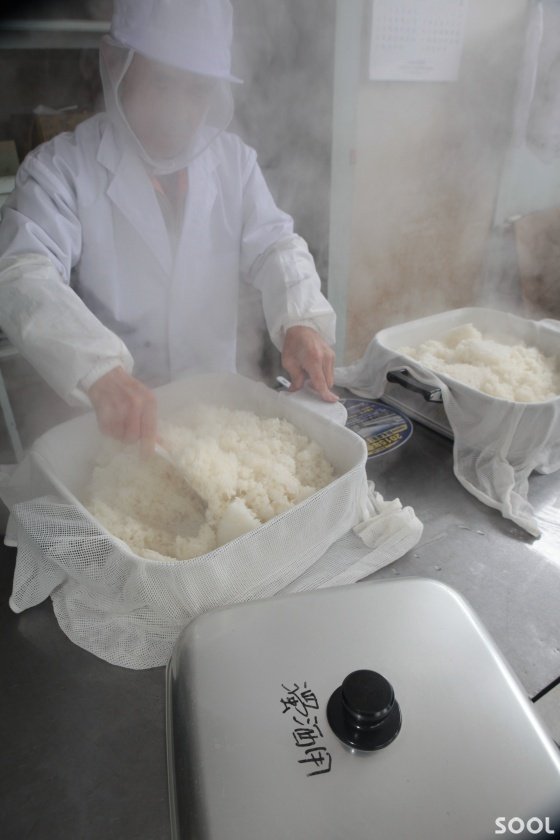 도부로쿠을 빚기 위해 고두밥을 찌고 있다