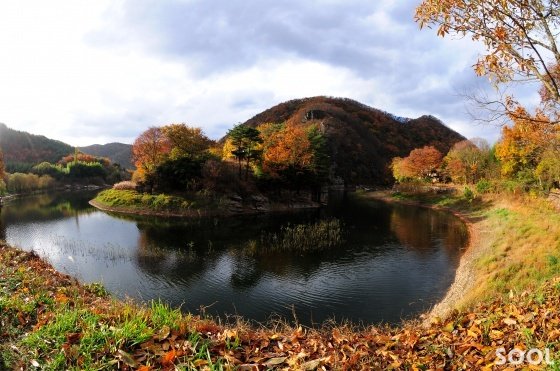 반구대