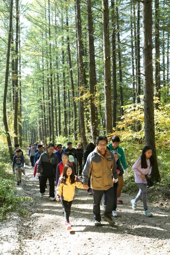 아트인아일랜드 캠핑장의  잣나무 숲 체험