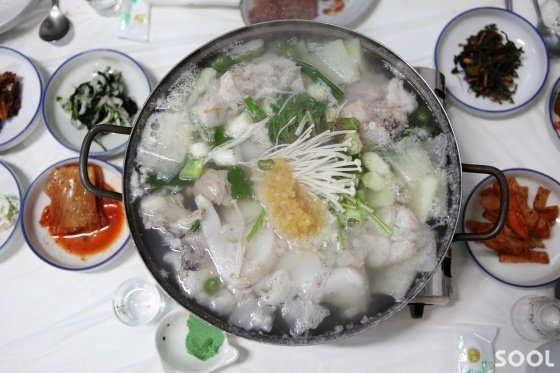 곰치국
