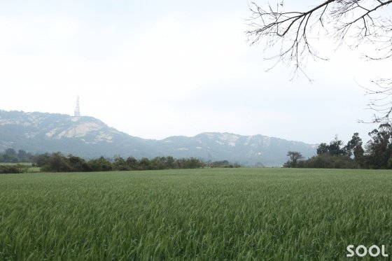 격전지 같은 이미지는 없고 목가적인 풍경