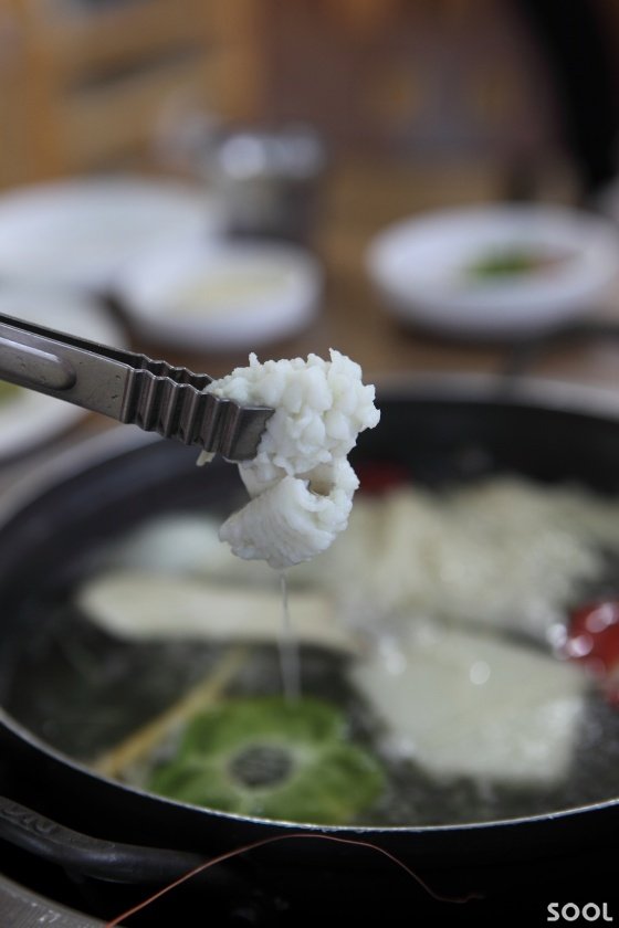 끓는 육수에 데치면 꽃처럼 피어나는 갯장어 샤부샤부