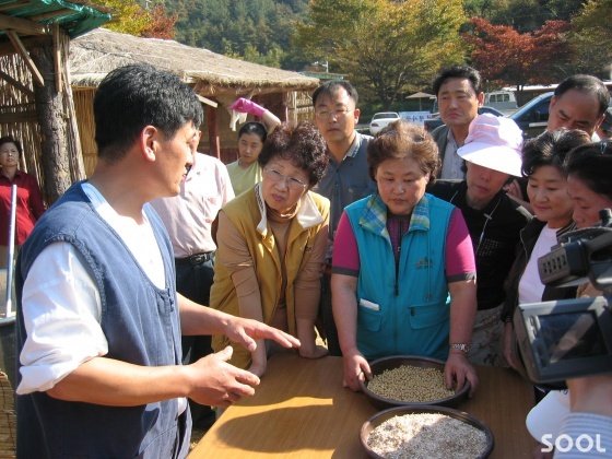 체험 행사에서 소곡주 빚는 방법을 설명하고 있다.