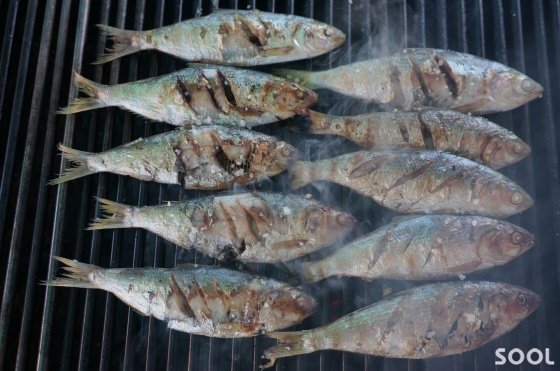 전어구이
