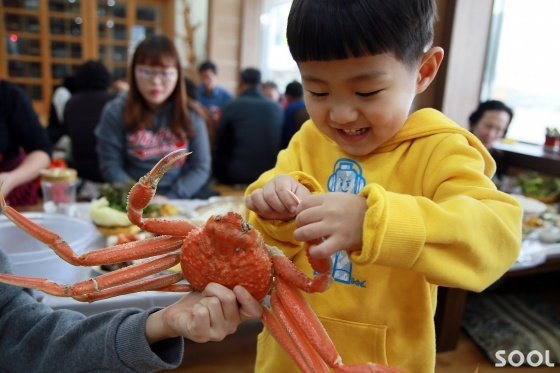 먹기전에 집게 싸움 한판