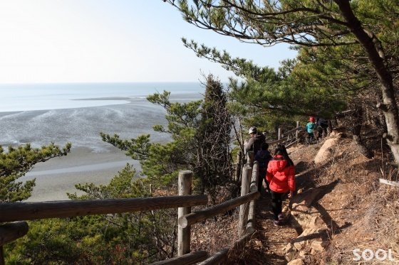 호룡곡산 정상에서 하나해변으로 이어지는 환상의 길