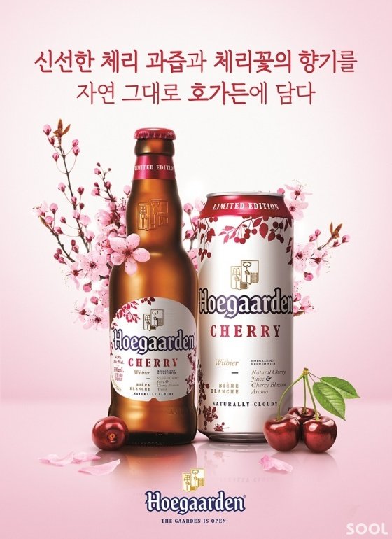 봄 한정판 ‘호가든 체리’ 나온다