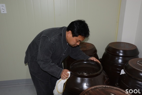 전통주는 항아리에서 숙성되고 있다.