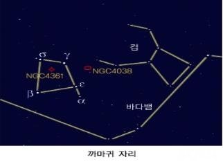 술 컵 별자리 신화(上)