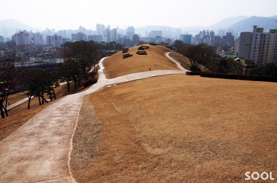  동래읍성뿌리길