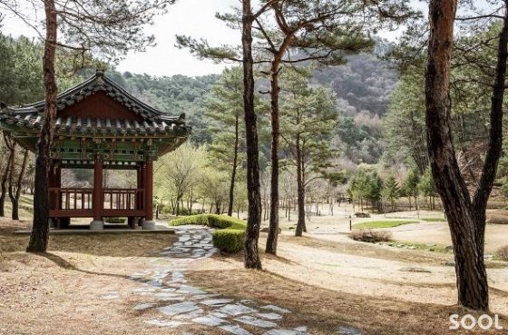 . [강원 홍천] 가족 나들이 하기 좋은 공작산 생태숲