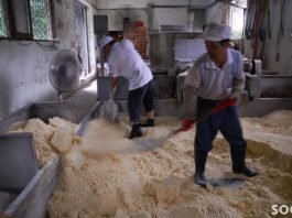 국가 알코올 정책 컨센서스를 구축하고,