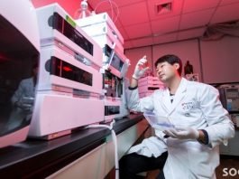 ‘대선소주’로 소비자 사로잡은 대선주조,