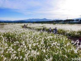 한국관광공사 2018년 10월 추천 가볼 만한 곳