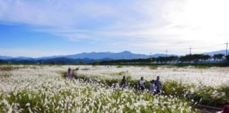 한국관광공사 2018년 10월 추천 가볼 만한 곳