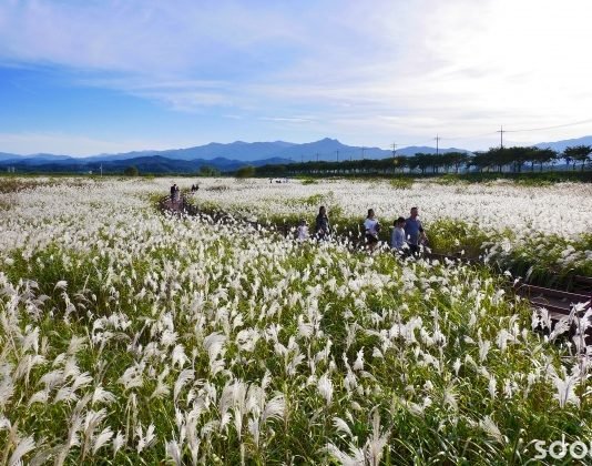 한국관광공사 2018년 10월 추천 가볼 만한 곳