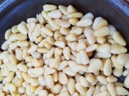 박록담의 복원 전통주 스토리텔링 52번째 이야기, 백가지 병에 좋은 백자주(柏子酒, 栢子酒)