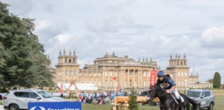 쌍용자동차, 영국 자동차소유주 선정 브랜드 만족도 1위