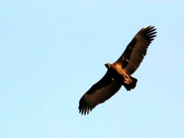 DMZ관광, 비무장지대(DMZ) 평화관광 제3탄