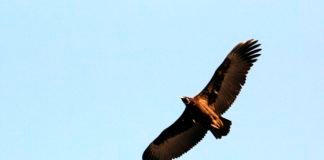 DMZ관광, 비무장지대(DMZ) 평화관광 제3탄