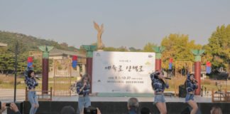 10월의 토요일 오후, 청와대 앞에서 공연 즐겨보자