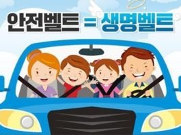모든 도로 ‘전좌석 안전띠’ 의무화…위반 과태료 3만원