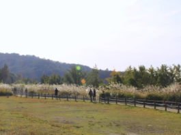 주말여행, 전북을 가다 Ⅰ