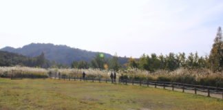 주말여행, 전북을 가다 Ⅰ