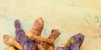 수염과 머리털이 검어지고 치아가 새로 난다 황정주(黃精酒)