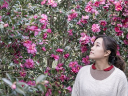 제주도 밤에 가볼 만한 곳 제주허브동산, 조명과 어우러진 동백꽃의 향연