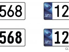 자동차 번호판, 새 디자인 선호도 조사