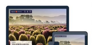 전국 244개 지자체 여행정보를 한눈에 ‘대한민국 구석구석’