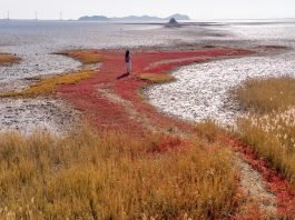 한국관광공사 추천 12월의 걷기여행길