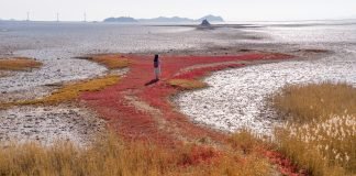 한국관광공사 추천 12월의 걷기여행길