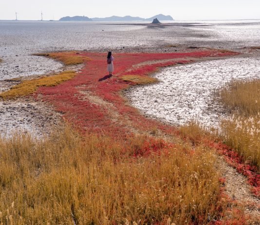 한국관광공사 추천 12월의 걷기여행길