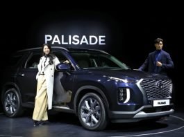 현대차, 팰리세이드 출시
