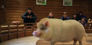 한국관광공사 2019년 1월 추천 가볼 만한 곳