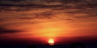 2019년 황금돼지해 첫 일출