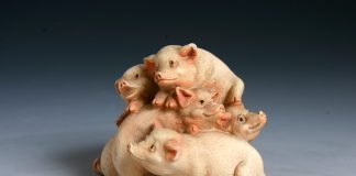 새해 福 많이 받으시고 건강하세요