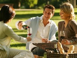 봄나들이에 제격! 간편하게 즐길 수 있는 피크닉 주류 인기