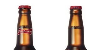 버드와이저, 500ml 병맥주 국내 첫 출시