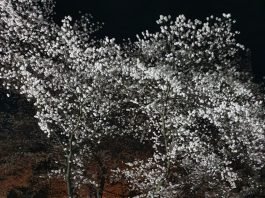 『빈 술병』인간의 삶, 욕심과 술의 애환