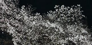 『빈 술병』인간의 삶, 욕심과 술의 애환