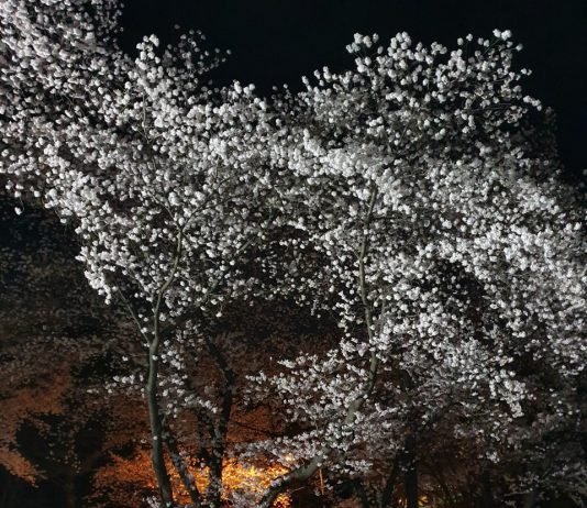 『빈 술병』인간의 삶, 욕심과 술의 애환