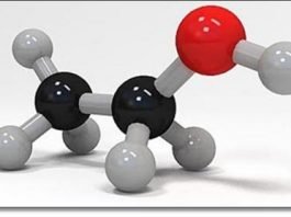 “술 먹은 개” 술을 먹으면 왜 동물로 변종 되는 걸까?