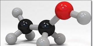 “술 먹은 개” 술을 먹으면 왜 동물로 변종 되는 걸까?