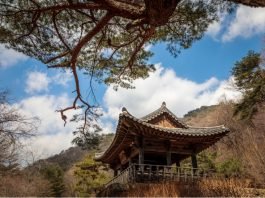 한국관광공사 추천 4월의 걷기여행길