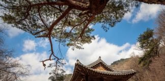 한국관광공사 추천 4월의 걷기여행길